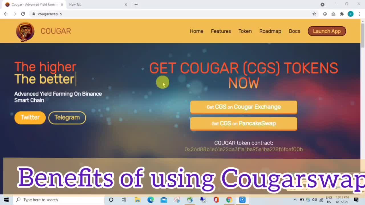 cougarswap crypto