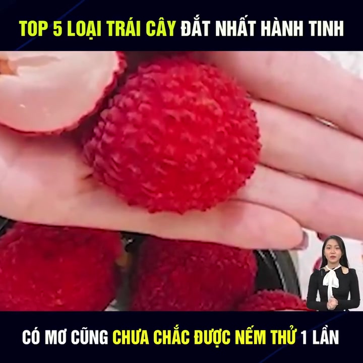 TOP 5 TRÁI CÂY ĐẮT NHẤT HÀNH TINH - COS.TV