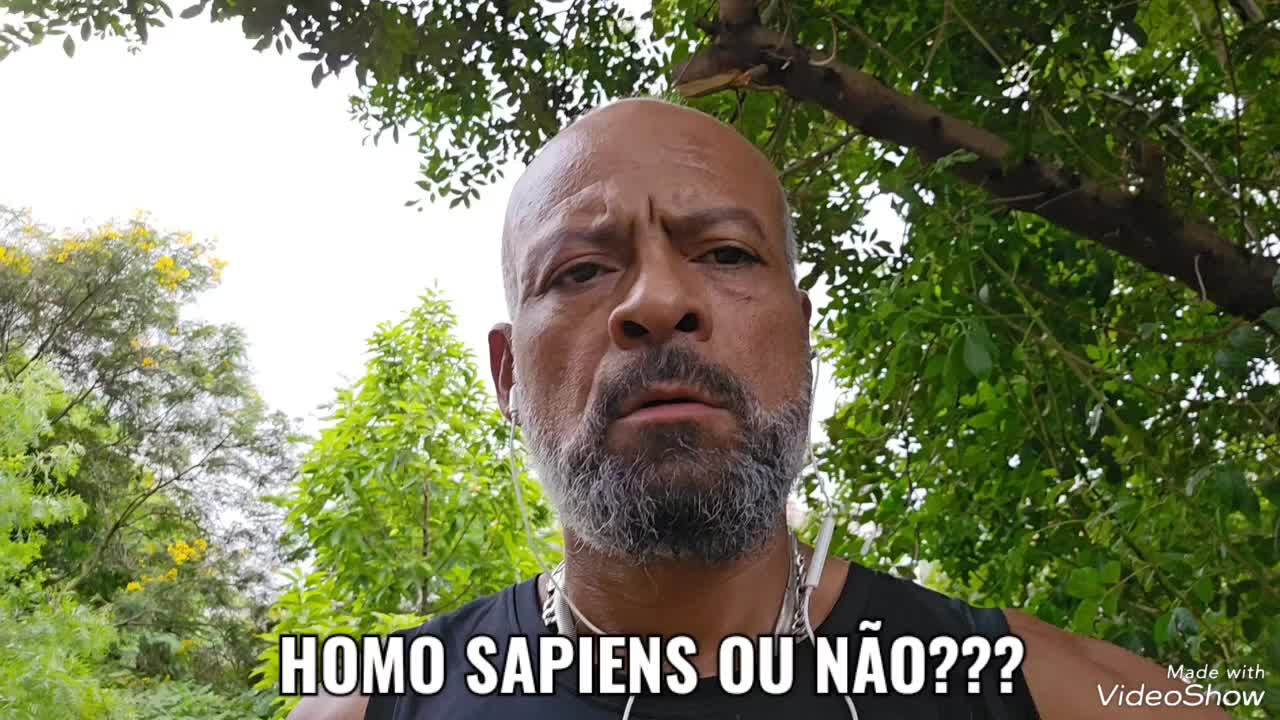 CÃO TRANS... E O Q.I. SÓ VAI ABAIXANDO... COS.TV