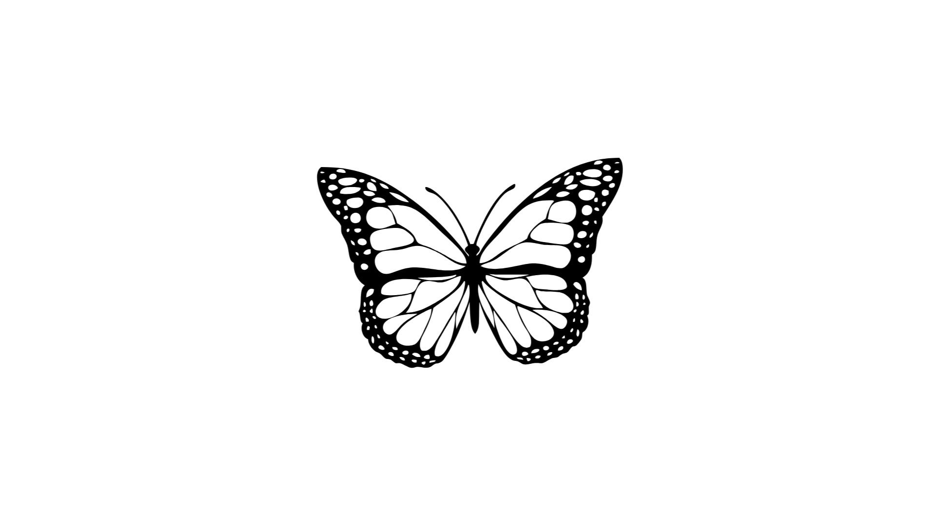 25 mp4 COS TV 25 mp4 cos tv