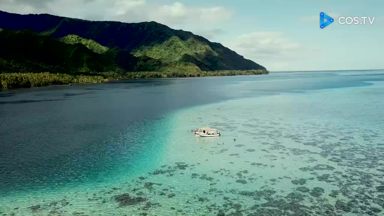 Paisagem 870 - COS.TV