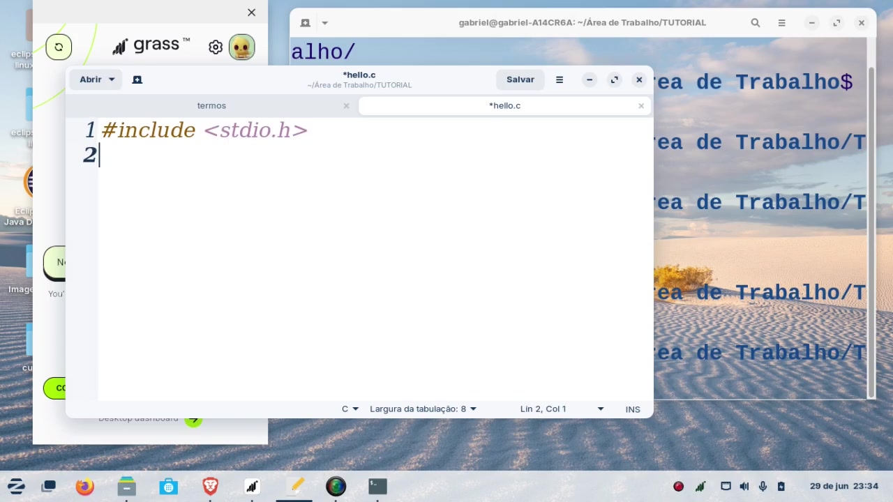 Criando e executando o primeiro programa na linguagem C - pelo Terminal ...